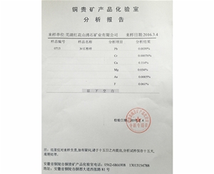 檢測報告